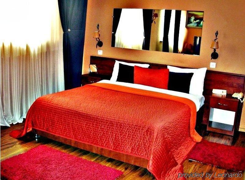 Art-Rustic Boutique Hotel Chisinau Quarto foto